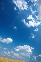 clouds in the blue sky