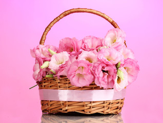 Fototapeta na wymiar Bukiet eustoma kwiatów w koszyku, na różowym tle