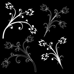 Vector flowers patterns