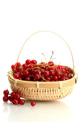 redcurrants in a basket isolated on white
