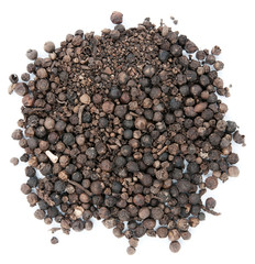 allspice on the isolated background