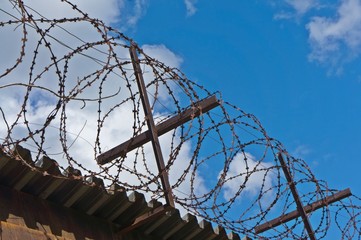 barbed wire on the fence