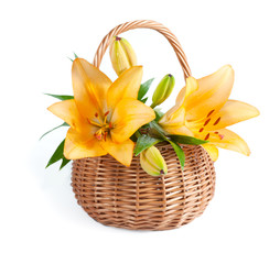 Bouquet of lilies in a wicker basket