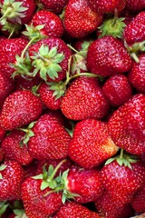 fresh strawberry