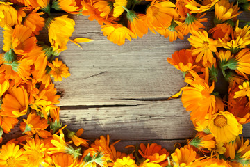 marigold flowers over wooden background, autumn