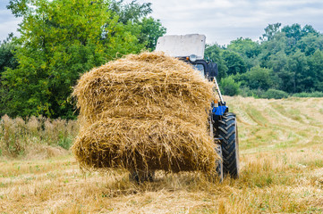 Obraz premium tractor with a hay