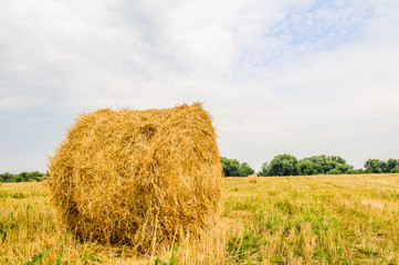 a bale of hay