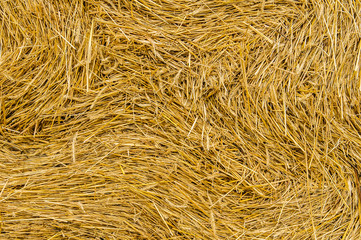 a bale of hay