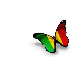 Mali flag butterfly, isolated on white background