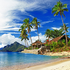tropical scenery