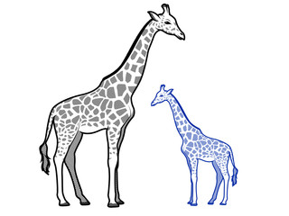 Naklejka premium Giraffe Line Art Illustrations