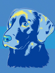 Labrador Dog Pop Art Style
