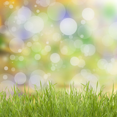 Obraz premium Natural background with grass
