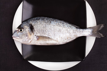 Luxurious seafood. Fish on plate, top view.