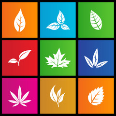 vector illustration of metro style leaves icons