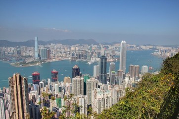 Fototapeta premium vue sur hong kong depuis le pic victoria