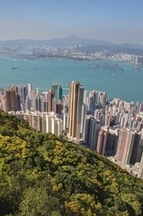 vue sur hong kong depuis le pic victoria