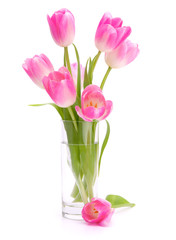 Pink tulips bouquet in vase isolated on white background