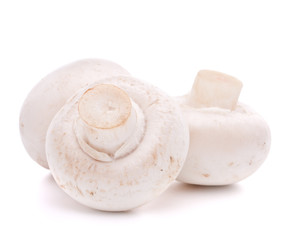 Champignon mushroom