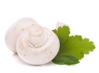Champignon mushroom and parsley leaves