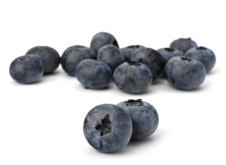Bilberries or whortleberries cutout