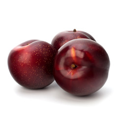 Red plum fruit