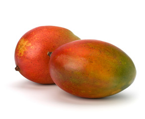 Mango fruit