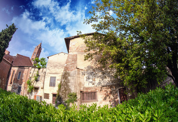 Fototapeta na wymiar Typical Homes of Pisa and Vegetation