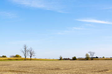 Fototapeta premium Farmland