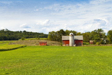 American Farm in hot summer day © maksymowicz