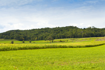 Countryside Landscape