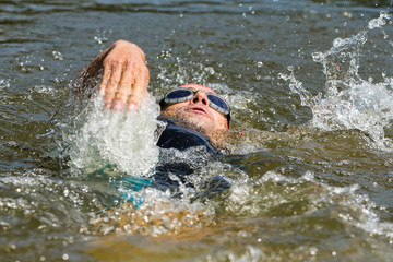 Rückenschwimmer
