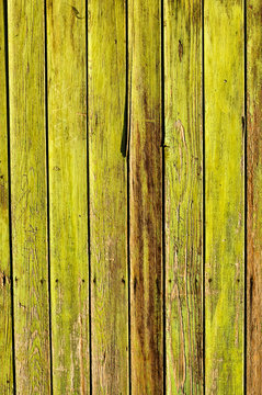 Green wooden background