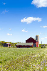 American Farm