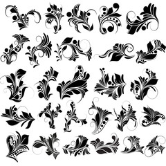 Floral Vector Designs