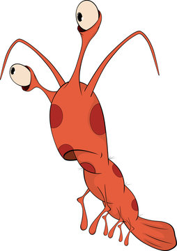 Red shrimp cartoon
