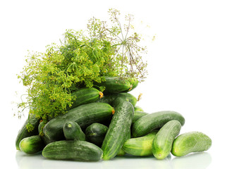 fresh cucumbers and dill  isolated on white