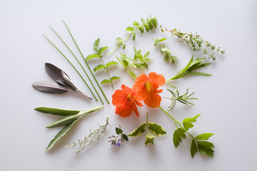 Kräuter und essbare Blüten