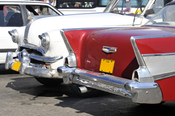 Belles am&eacute;ricaines 7