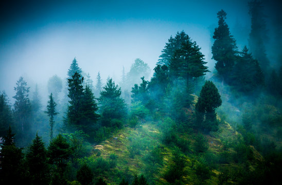 Fototapeta fog