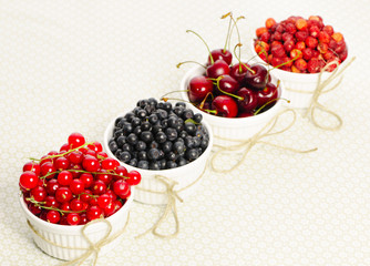 Wild berries in bowls