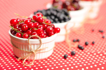 Wild berries in bowls