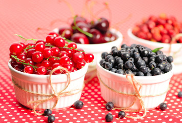 Wild berries in bowls