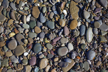 stone pebbles on the beach