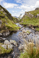 Dale Head Stream