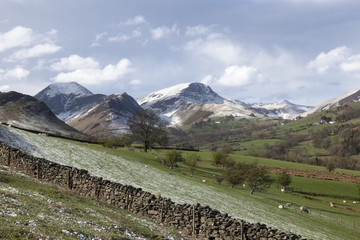 Fototapeta premium Views of Causey Pike, Sale Fell, Grizedale Pike
