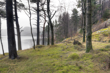 Obraz premium Thirlmere Cove