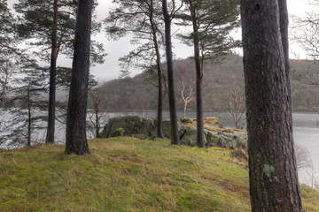 Obraz premium Thirlmere Reservoir