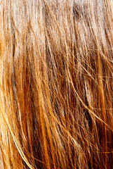 hair background