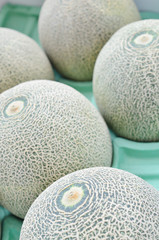 メロン　箱詰め